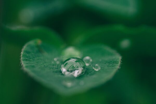 aaron-burden-dXYE1d08BiY-unsplash logistieke_trend_duurzaamheid