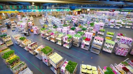 royal-floraholland-sanctiebeleid-20160418-59 royal-floraholland-sanctiebeleid-20160418-59