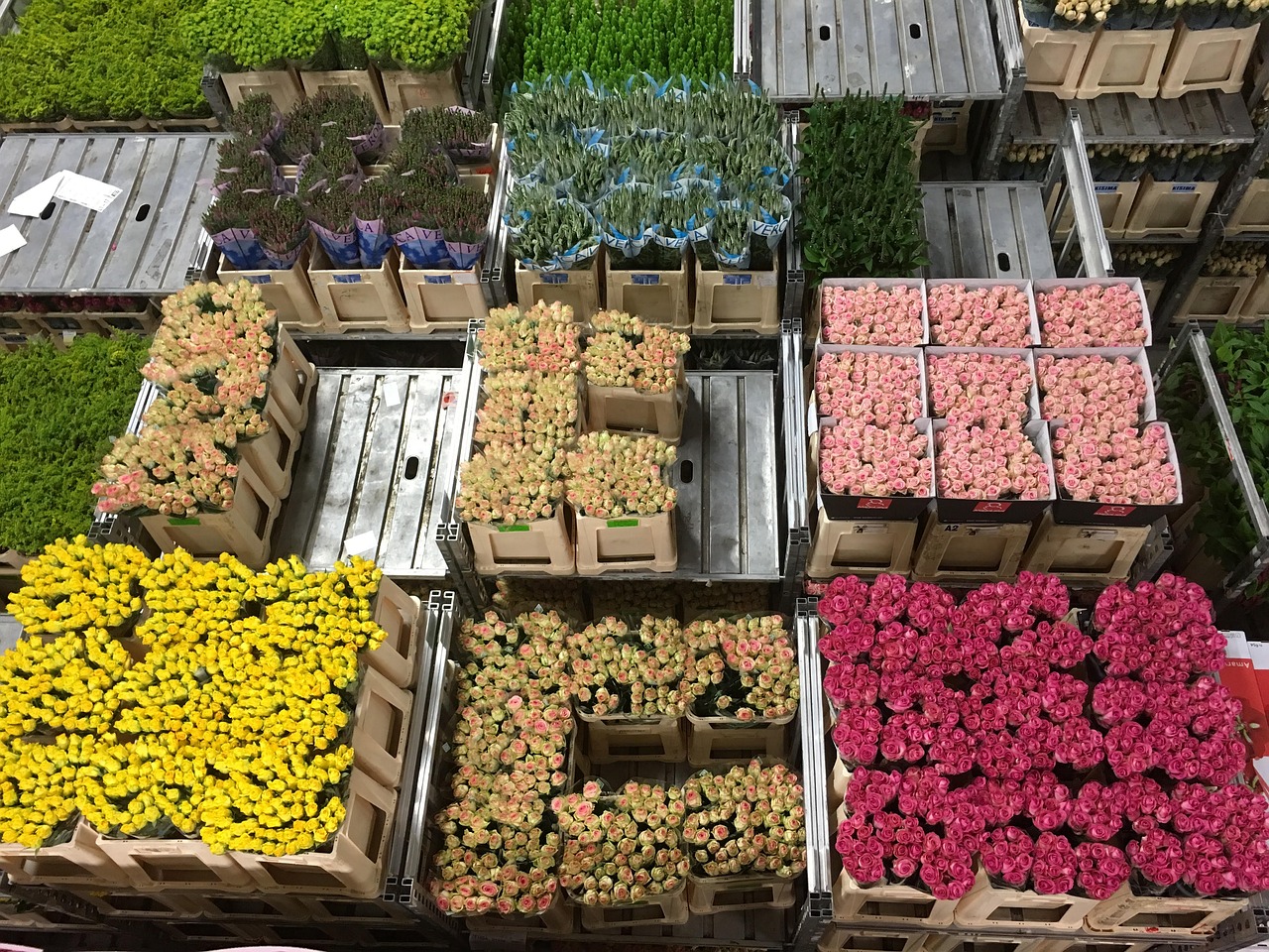 Verschillende soorten bloemen verpakt in kratten