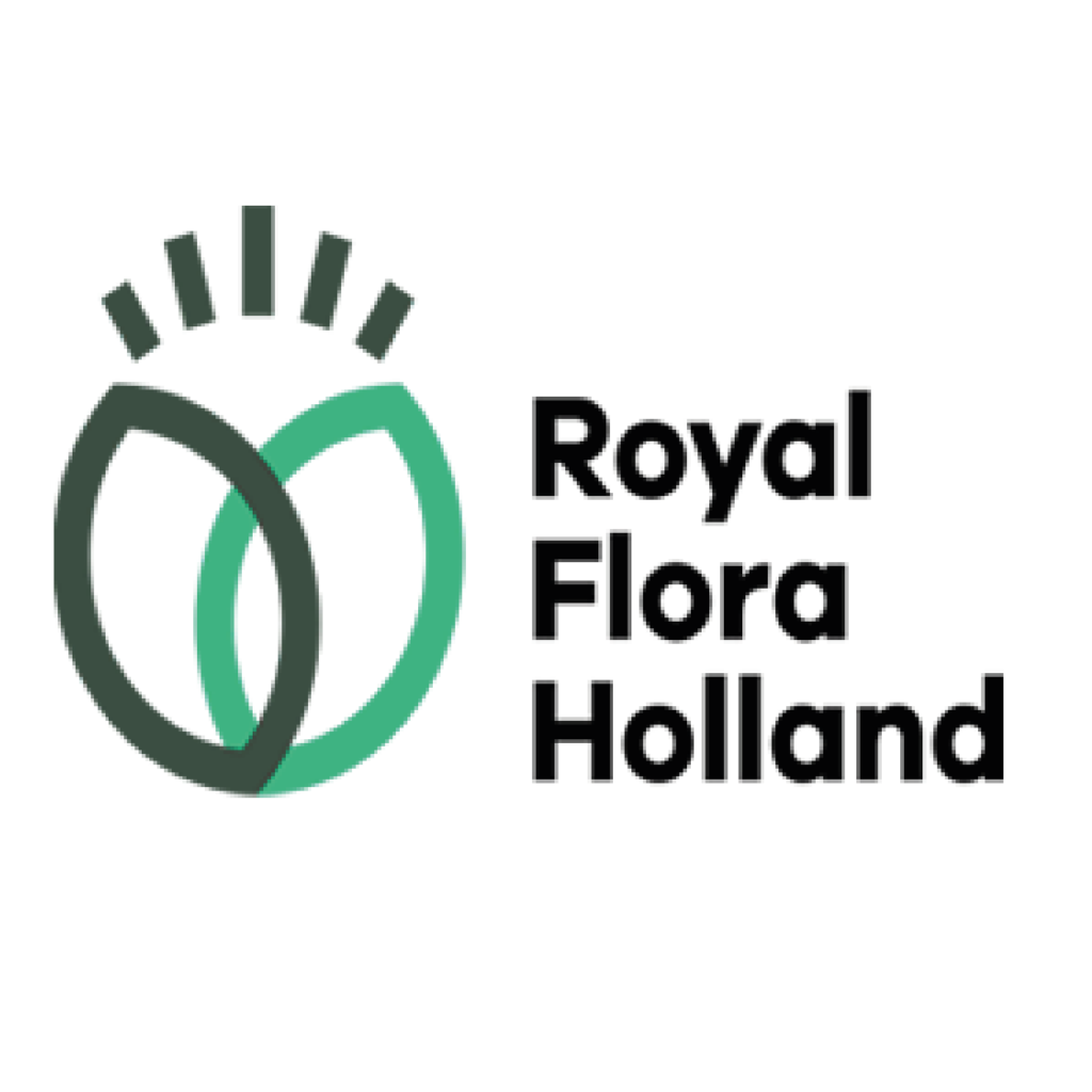 Logo van het logistieke bedrijf Royal FloraHolland
